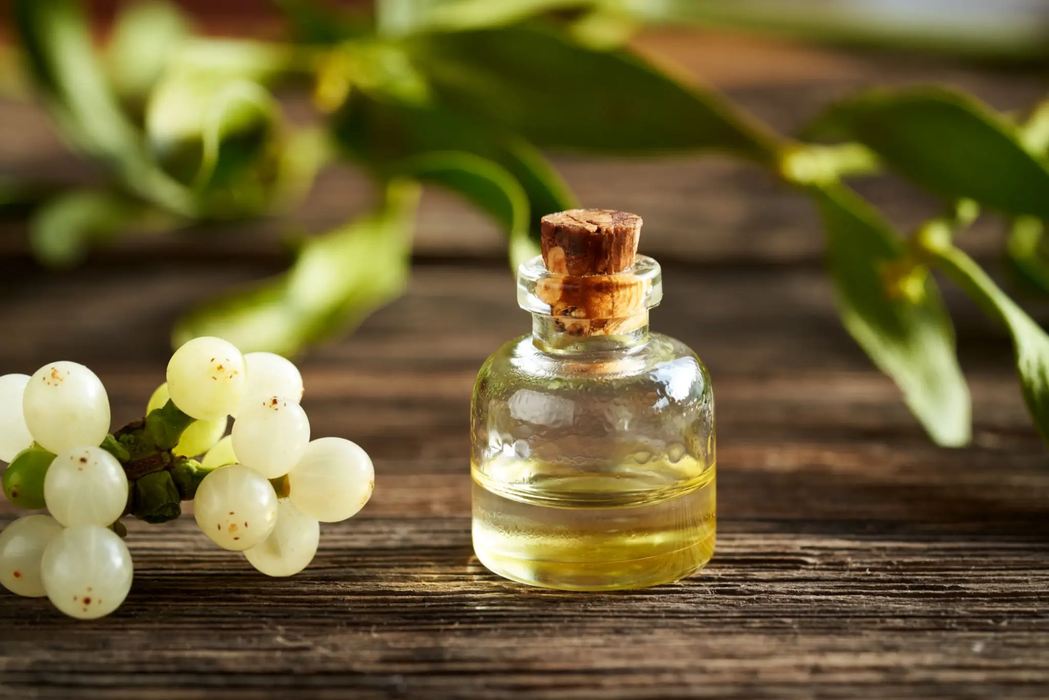 49f5ea00-7d2b-45d3-b650-33ceab1e3bda