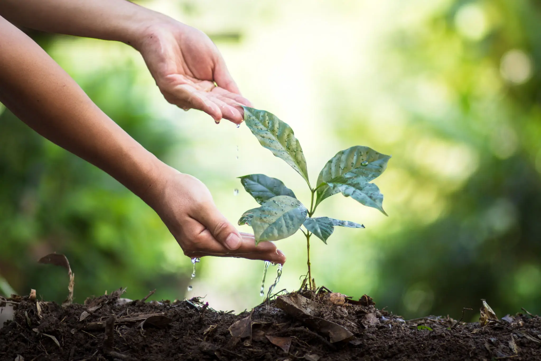 f0193c9b-8c8c-4e2a-bcfd-b6323a6b3f63